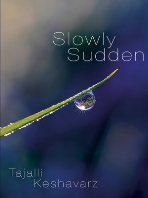 cover image of Slowly Sudden